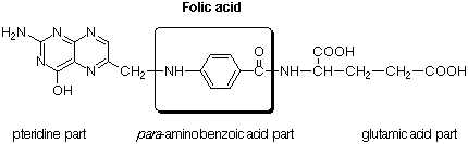 Structure of Folic Acid