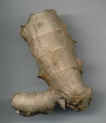 ginger root